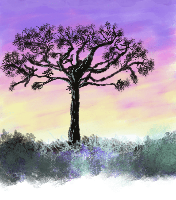 First Digital Illustration...